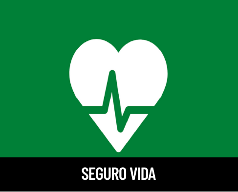Seguro vida